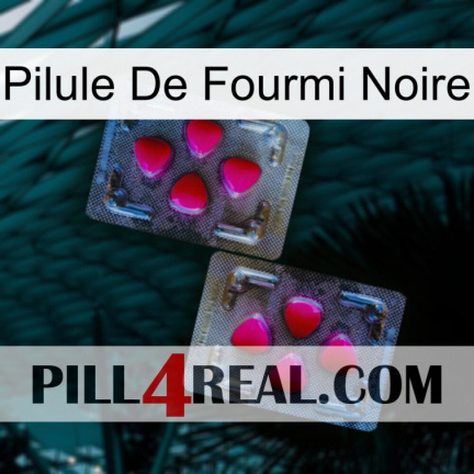 Black Ant Pill 15